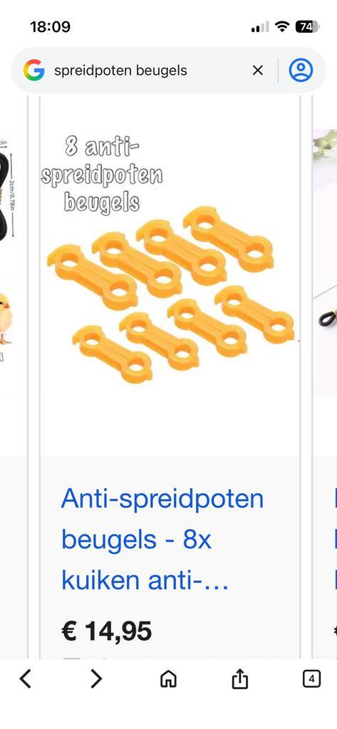 7 antispreidpoten beugels nieuw, Dieren en Toebehoren, Pluimvee, Kip, Vrouwelijk