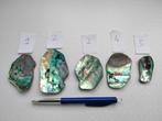 abalone schelpen 5 stuks, Verzamelen, Mineralen en Fossielen, Ophalen, Schelp(en)