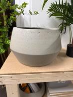 Pottery Pots Harley Low L - Beige Bloempot, Ophalen, 40 cm of meer, Zo goed als nieuw, Minder dan 40 cm