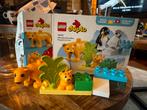 LEGO Duplo 10442 Wilde Dierenfamilies: Leeuwen, Ophalen of Verzenden, Zo goed als nieuw, Complete set, Duplo