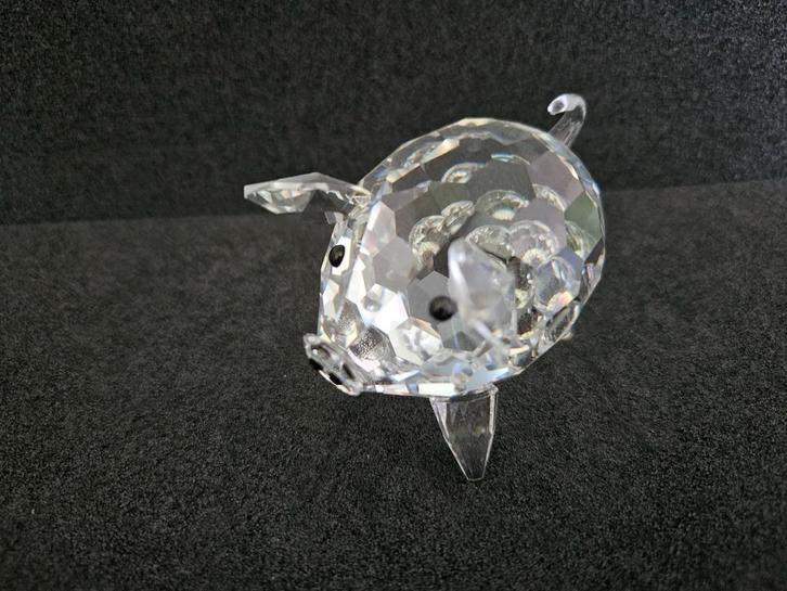 Swarovski varken groot, Verzamelen, Swarovski, Zo goed als nieuw, Figuurtje, Ophalen of Verzenden
