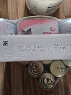 3 trays kitten voer Royal Canin, Dieren en Toebehoren, Dierenvoeding, Ophalen of Verzenden, Kat