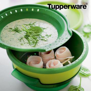 Tupperware stoomkoker magnetron 101 microgourmet laatste beschikbaar voor biedingen