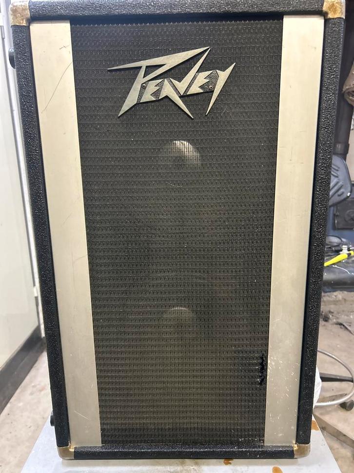 Peavey 210 Column Speaker - Vintage, Audio, Tv en Foto, Luidsprekers, Gebruikt, Overige typen, 60 tot 120 watt, Overige merken