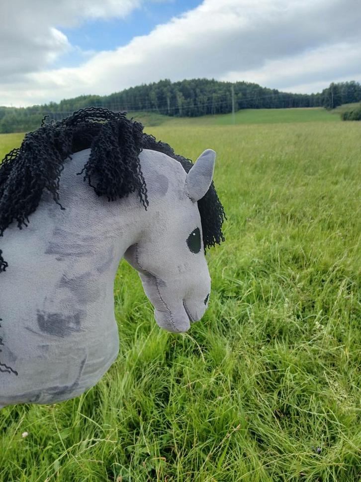 Hobby horse, Hobby en Vrije tijd, Knutselen, Nieuw, Overige typen, Ophalen of Verzenden