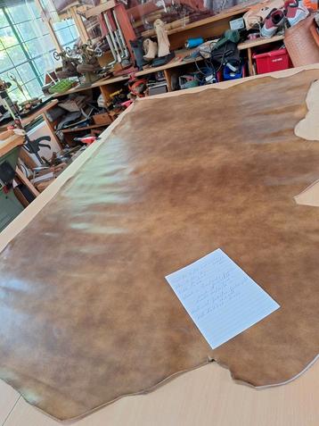 Tuigleder, Buffel, ingewassen, Geleefd leer.  beschikbaar voor biedingen