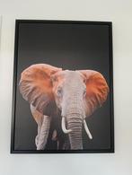 Groot canvas schilderij, Huis en Inrichting, Woonaccessoires | Schilderijen, Tekeningen en Foto's, Ophalen, Zo goed als nieuw