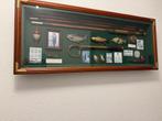Vitrine met Visgerei - Uniek Decoratieobject, Antiek en Kunst, Ophalen