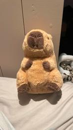 Knuffel Capybara, Ophalen of Verzenden, Zo goed als nieuw, Overige typen