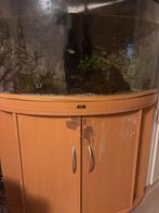 Juwel trigon 190 led with meubel and accessories, Dieren en Toebehoren, Vissen | Aquaria en Toebehoren, Ophalen, Leeg aquarium