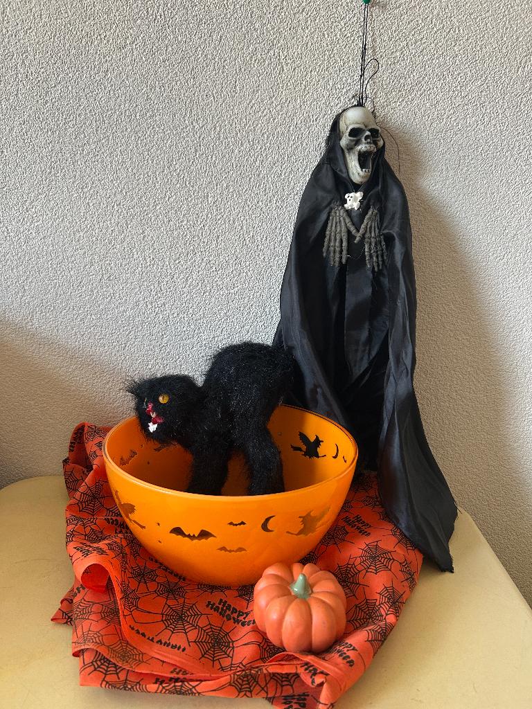 Halloween diversen, Ophalen of Verzenden, Gebruikt, Versiering, Halloween of Griezel