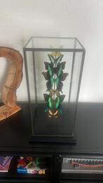 Zeer mooie glazen stolp met opgezette vlinders, Ophalen, Zo goed als nieuw