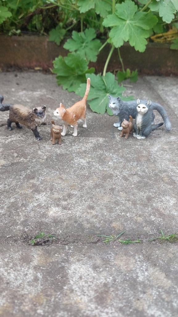 Twee schleich katten families!, Ophalen of Verzenden, Zo goed als nieuw