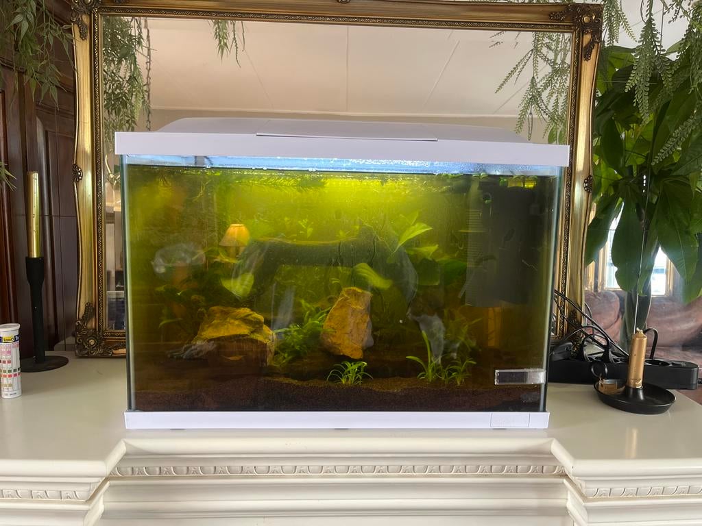 Superfish Aquarium 60L (compleet), Dieren en Toebehoren, Vissen | Aquaria en Toebehoren, Ophalen, Zo goed als nieuw, Leeg aquarium