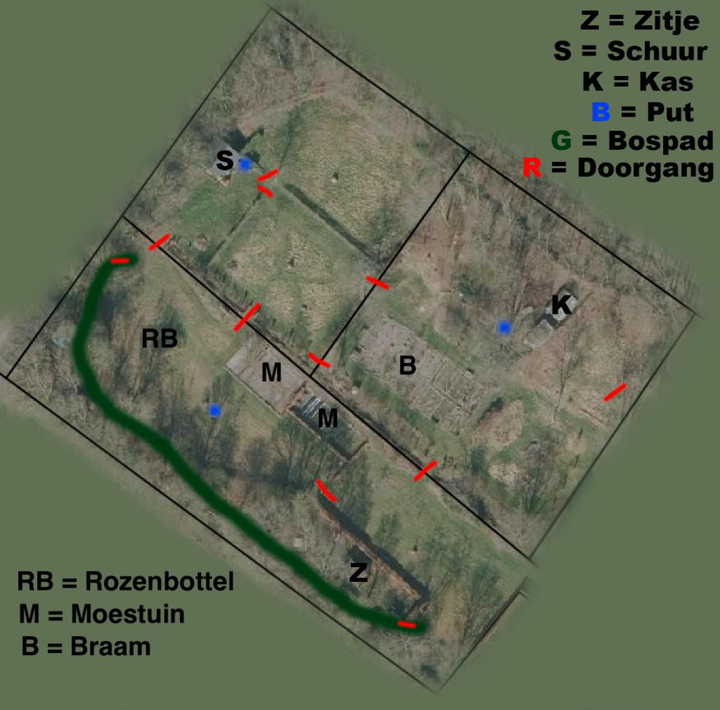 Paddock Paradise in Leende NB, Dieren en Toebehoren, Weidegang, 1 paard of pony