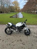 Ducati Monster M696, Motoren, 2 cilinders, Sportuitlaat, Motorrijbewijs A, Particulier