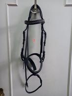 Hoofdstel maat full, groen onderlegde neusriem, Ophalen of Verzenden, Zo goed als nieuw, Dressuur