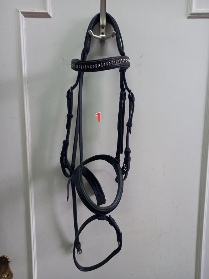 Hoofdstel maat full, groen onderlegde neusriem, Dieren en Toebehoren, Paarden en Pony's | Hoofdstellen en Tuigage, Zo goed als nieuw