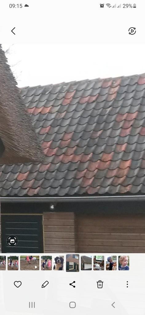 Gebruikte dakpannen rood grijs gemêleerd, Gebruikt, Steen of Klei, Ophalen of Verzenden, 15 m² of meer