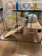 Hamsterkooi met glas + accessoires, Kooi, Gebruikt, Niet van toepassing, Niet van toepassing