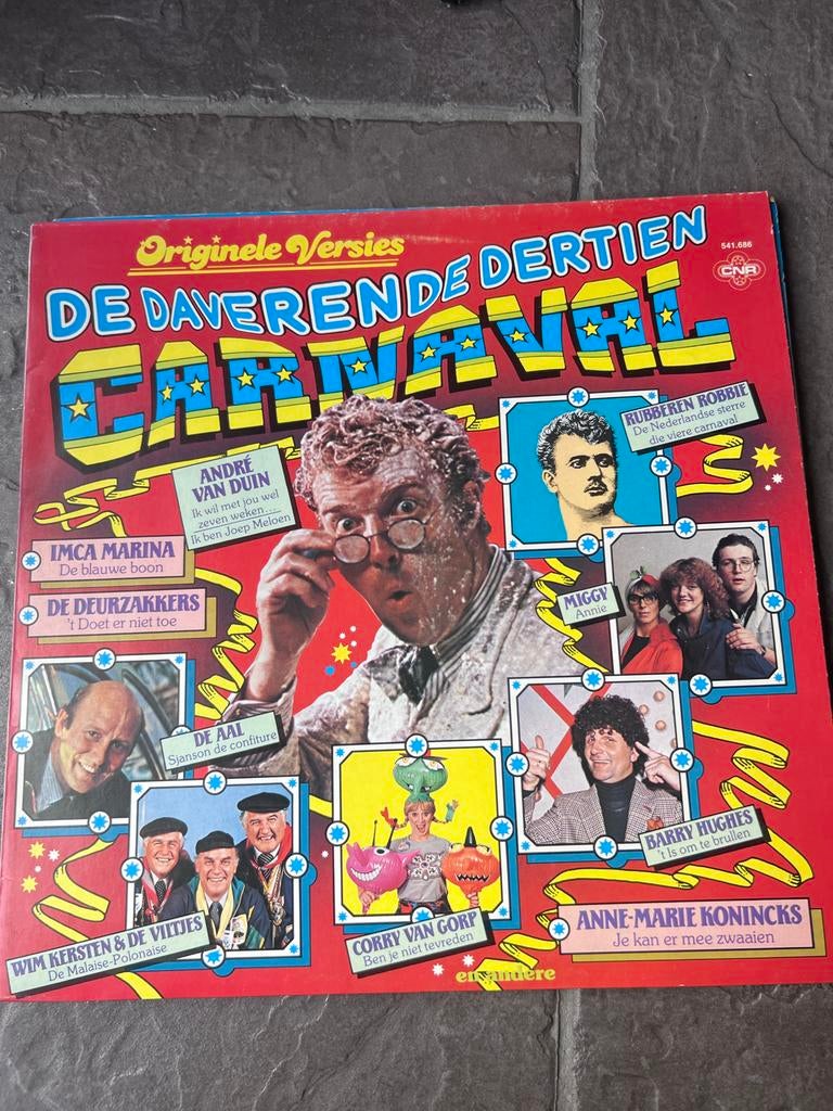 De Daverende Dertien Carnaval LP, Gebruikt, Originele persing, 1980 - 1989, Ophalen of Verzenden