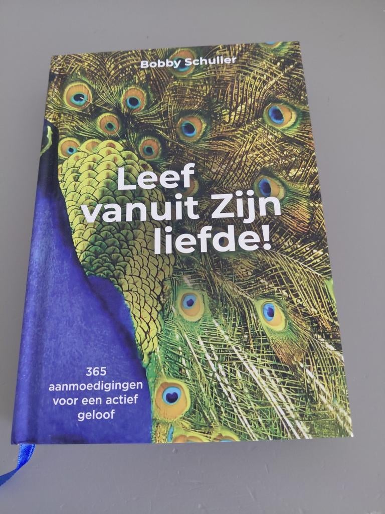 Dagboek: Bobby Schuller - Leef vanuit Zijn liefde, Ophalen of Verzenden, Zo goed als nieuw, Bobby Schuller