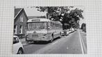 Foto BUS VAD Apeldoorn 7331, Verzamelen, Verzenden, Gebruikt, Bus of Metro, Overige typen
