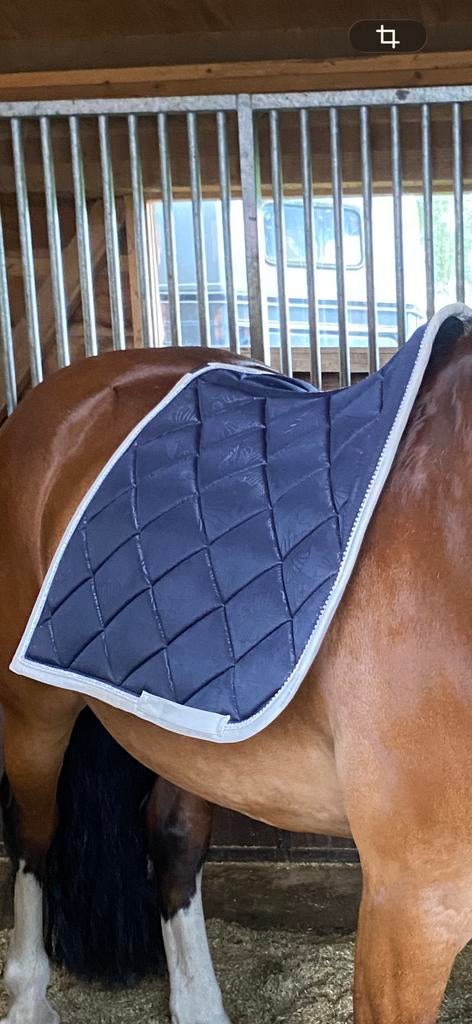 Ps of sweden floral, Dieren en Toebehoren, Ophalen of Verzenden, Zo goed als nieuw, Dressuur