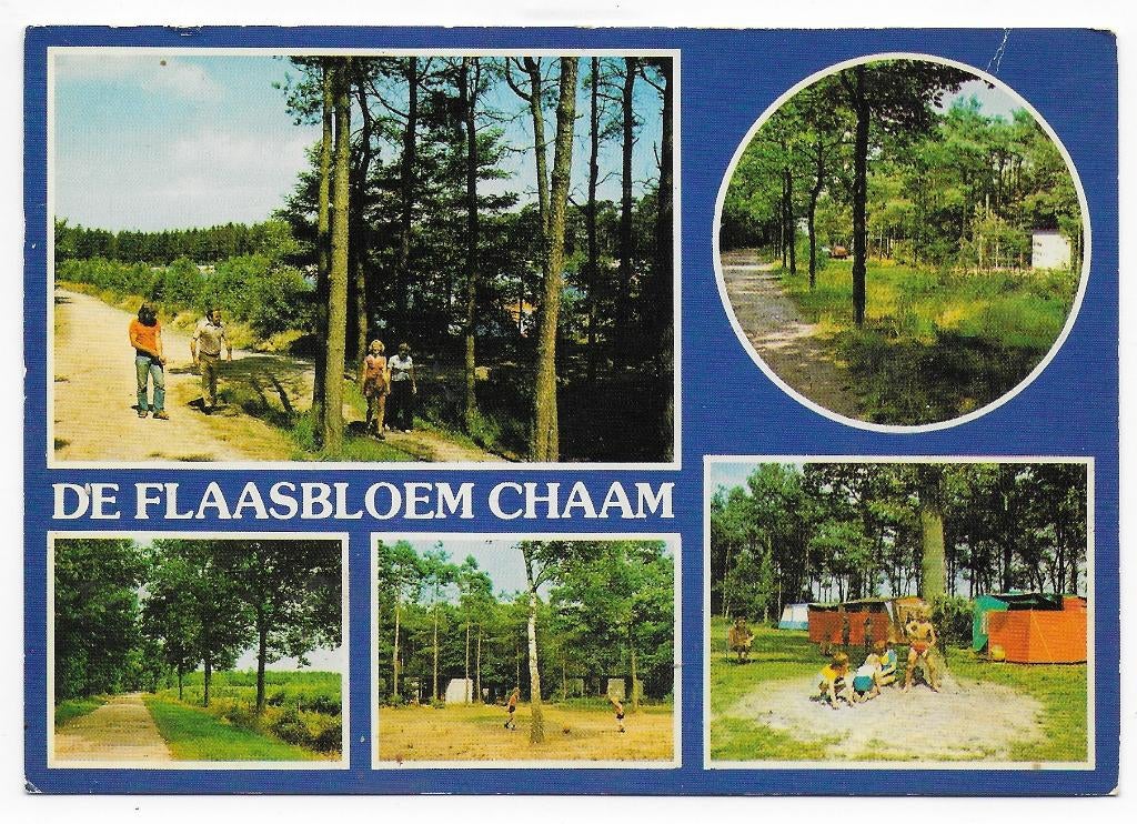 Chaam De Flaasbloem Vakantiepark Ansichtkaart (B2455 ), Ophalen of Verzenden, 1980 tot heden, Gelopen