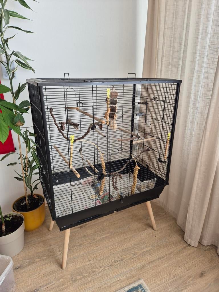 Vogelkooi inclusief extras, Dieren en Toebehoren, Vogels | Hokken en Kooien, Ophalen, Metaal, Vogelkooi