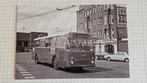 Foto BUS GVB Amsterdam 113 Havenstraat, Verzenden, Gebruikt, Bus of Metro, Overige typen