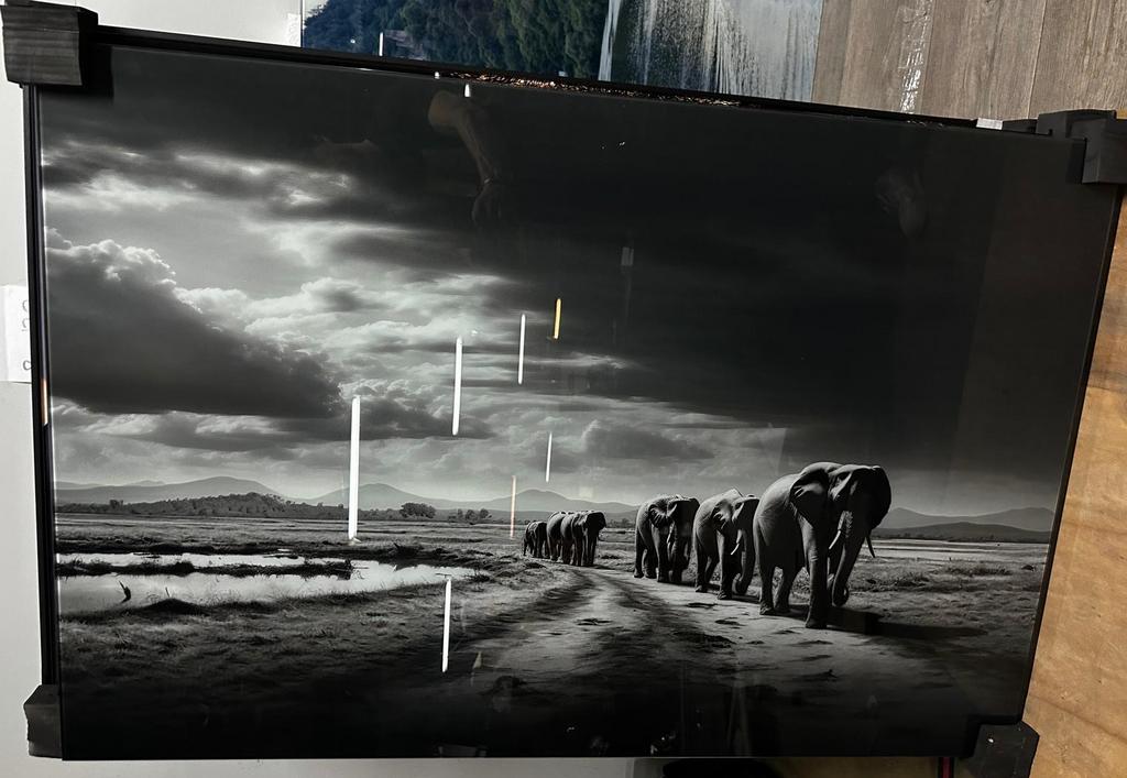 Glasschilderij 100x150cm elephant, Ophalen of Verzenden