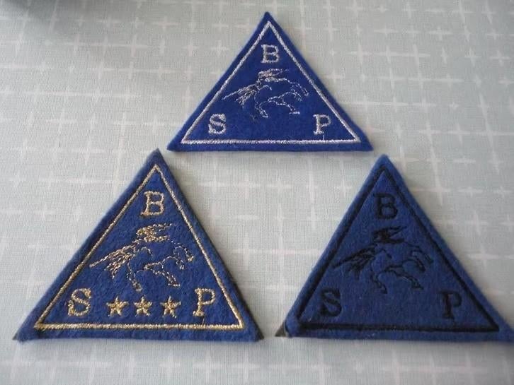 3 Driehoekige insignes, Girl Scout Brownie Try-Its, Verzenden, Zo goed als nieuw, Embleem, Speld of Insigne