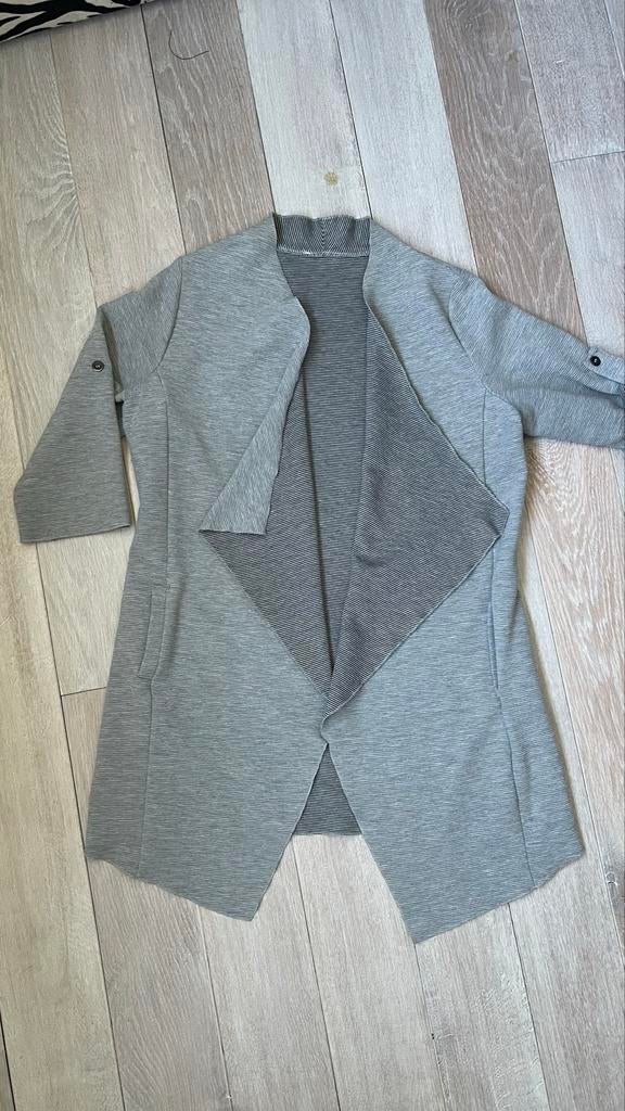 Getailleerd openvallend vest - Merk Paprika - Maat 38/40, Ophalen of Verzenden, Gedragen, Maat 38/40 (M), Grijs