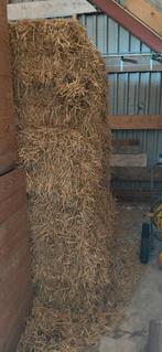 15 pakken gerste stro! 400kg, Ophalen of Verzenden, Vee