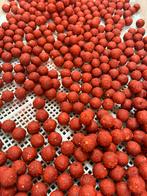 Speciale fruit/kruiden/knoflook boilie, Ophalen of Verzenden, Zo goed als nieuw, Overige typen