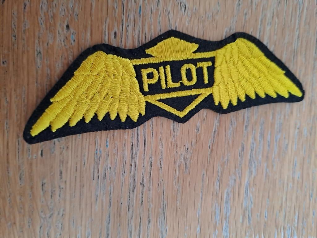 Pilot Vleugel Patch - Geborduurde Applicatie, Ophalen of Verzenden, Zo goed als nieuw, Onbekend, Overige applicaties