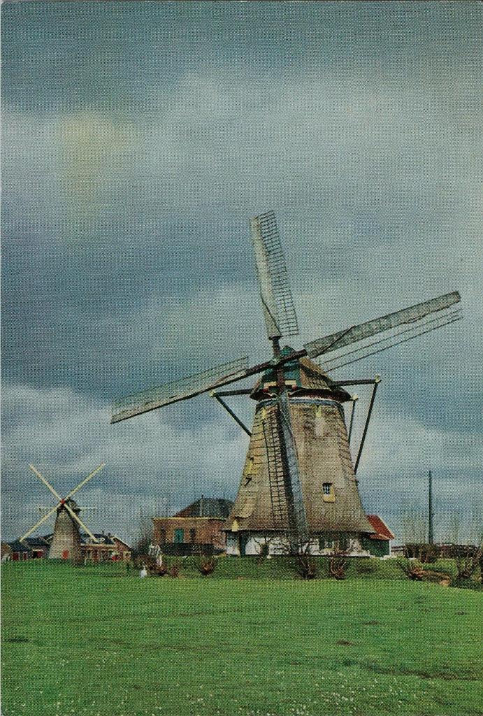 Dirksland = Maasland 2 x molen ca. 1955 groot formaat, Ophalen of Verzenden, 1940 tot 1960, Ongelopen, Zuid-Holland