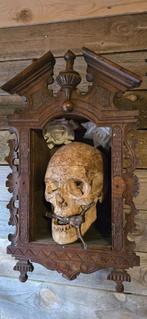 schedel in oud kastje, Ophalen, Zo goed als nieuw