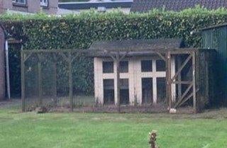 kippenhok met ren, Dieren en Toebehoren, Ophalen, Gebruikt, Kippenhok of Kippenren