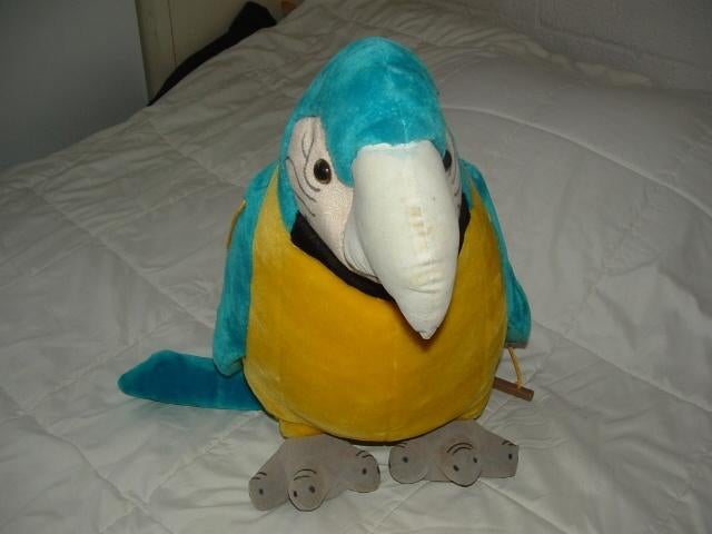 MOOIE PAPEGAAI VOGEL GROOT PLUCHE KORTHARIG, Ophalen of Verzenden, Nieuw, Overige typen