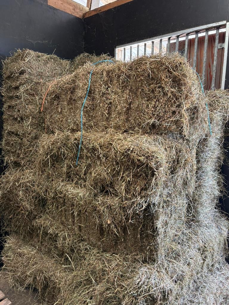 11 baaltjes hooi, Dieren en Toebehoren, Ophalen, Vee