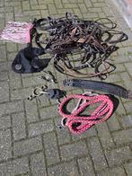 Partij paardenspullen, Ophalen of Verzenden, Gebruikt, Overige soorten