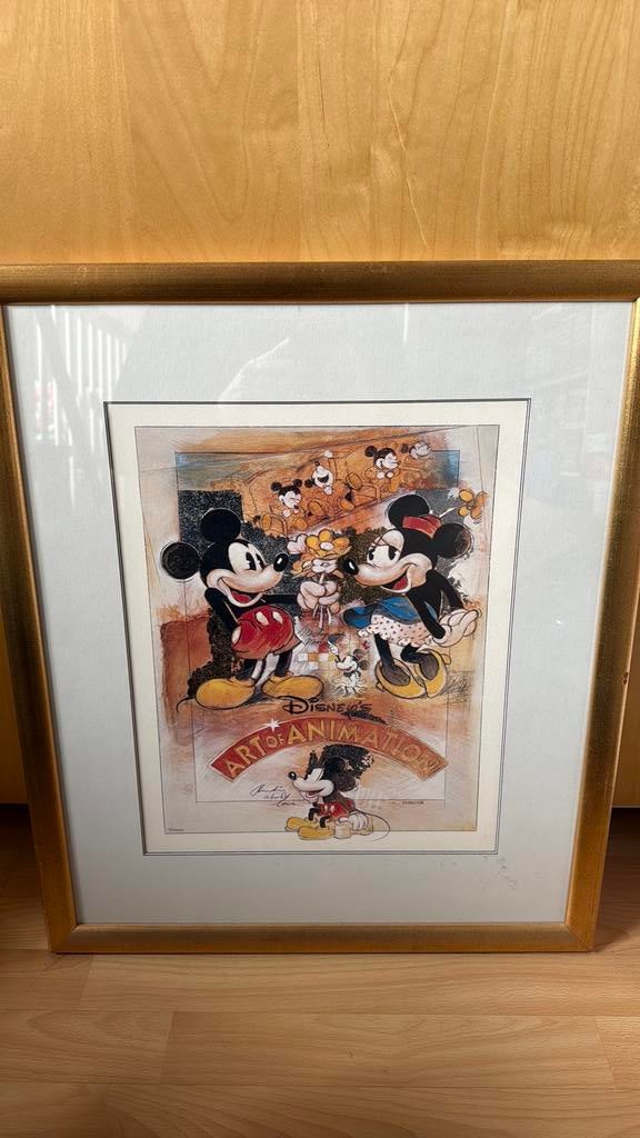 Jaodoor / afbeelding mickey en donald, Ophalen