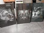 3 grote foto's van een leeuw tijger en panter, Ophalen of Verzenden, Zo goed als nieuw, Foto of Poster, 75 cm of meer