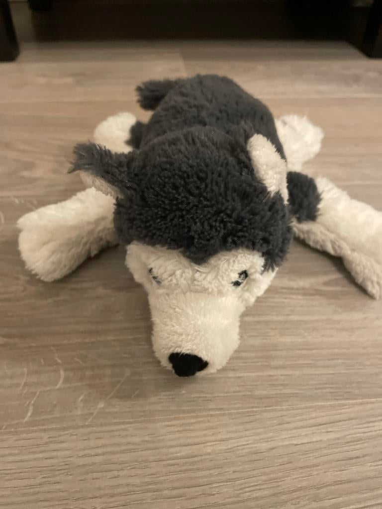 Schattige Husky Knuffel - Zo goed als nieuw, Ophalen, Hond, Zo goed als nieuw, Middelgroot (20 tot 80 cm)