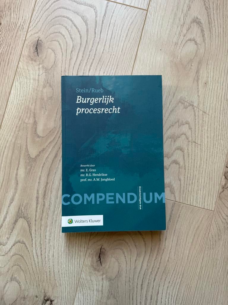 Compendium Burgerlijk procesrecht 23e druk - Stein/Rueb, Boeken, Ophalen of Verzenden, Gamma, Zo goed als nieuw, WO