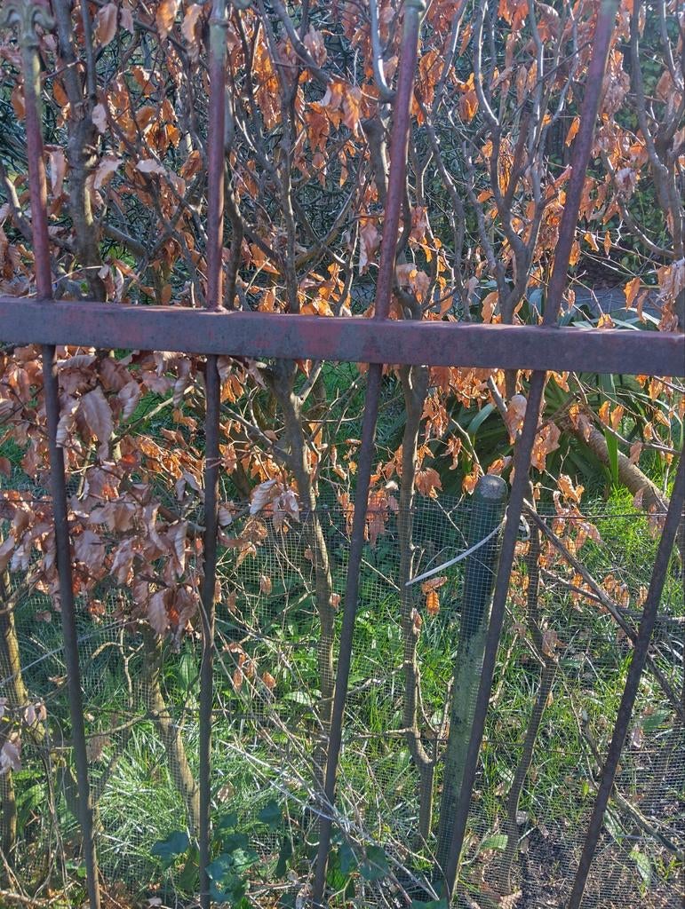 Antieke ijzeren hekwerk, Ophalen, Gebruikt, IJzer, Sierhekwerk