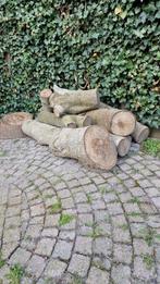 Brandhout - Diverse stammen en blokken, Minder dan 3 m³, Ophalen, Overige houtsoorten, Stammen