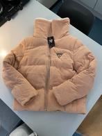 Nieuwe jas van GUESS, maat S-M, Kleding | Dames, Jassen | Winter, Ophalen of Verzenden, Zo goed als nieuw, Maat 36 (S), Overige kleuren